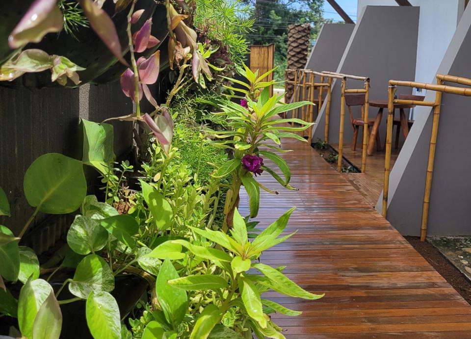 Hotel Casa Makaira Fernando de Noronha Zewnętrze zdjęcie